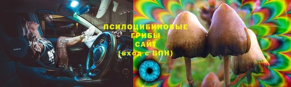 дживик Наволоки