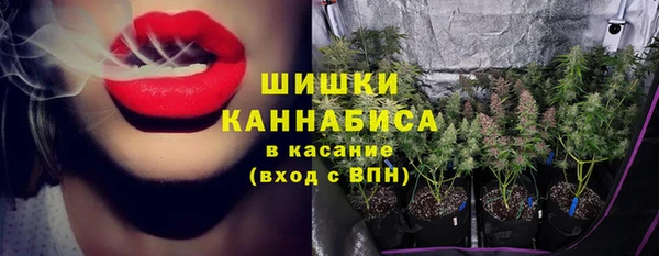 мдпв Навашино