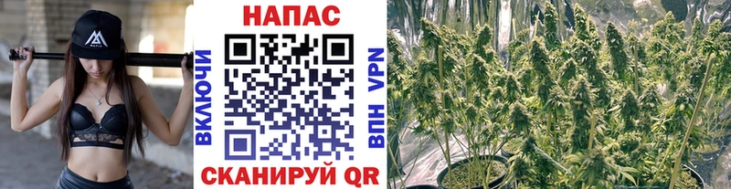 Бошки марихуана семена  купить   Бирюч 